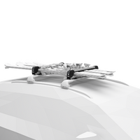 Thule SnowPack Extender - Slide Out Ski and Snowboard Carrier (Aluminium)