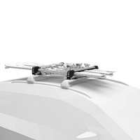 Thule SnowPack Extender - Ski and Snowboard Carrier (Aluminium)