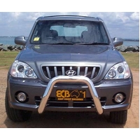 ECB Polished Nudge Bar to suit Hyundai Terracan 11/01 - 2006