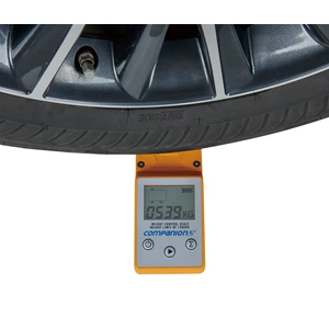 Companion Caravan Digital Weight Control Scale