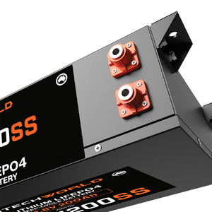 iTechWorld 200AH Super Slim Lithium Deep Cycle Battery (12V)