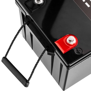 iTechWorld 100AH Lithium Deep Cycle Battery (24V)