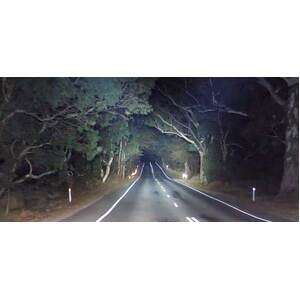 Lightforce Venom LED Driving Light (Single)