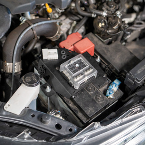 Pirate Camp Co. Battery Mounted Fuse Holder to suit Toyota Hilux N80 2015 - Onwards