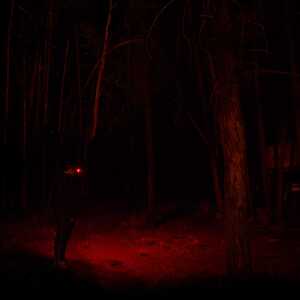 HARDKORR LED HEAD TORCH (335 Lumen)