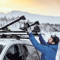 Thule SnowPack Extender - Ski and Snowboard Carrier (Aluminium)