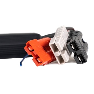 iTechWorld 25A DC-DC and MPPT Battery Charger (12/24V)