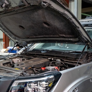 Pirate Camp Co. Bonnet Strut Kit to suit Nissan Navara NP300