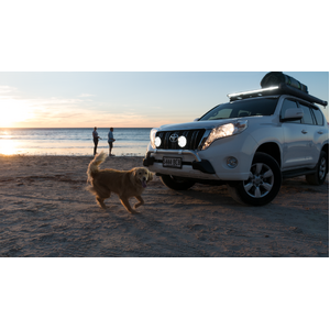 Lightforce Venom Professional Edition LED Driving Light (Single)