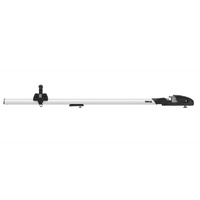 Thule ThruRide Roof Fork Bike Rack 565001