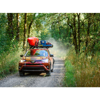 Yakima OffGrid Cargo Basket (Medium)