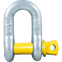Hayman Reese Rated D-Shackle