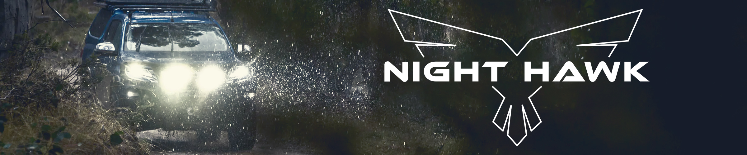 Night Hawk Driving Lights image